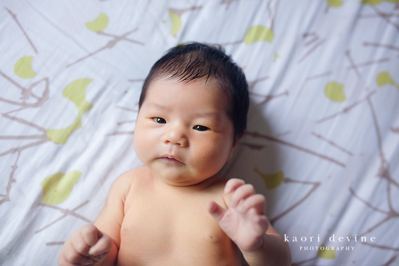 San Diego Newborn Photographer | Baby Kiana, 8 days old