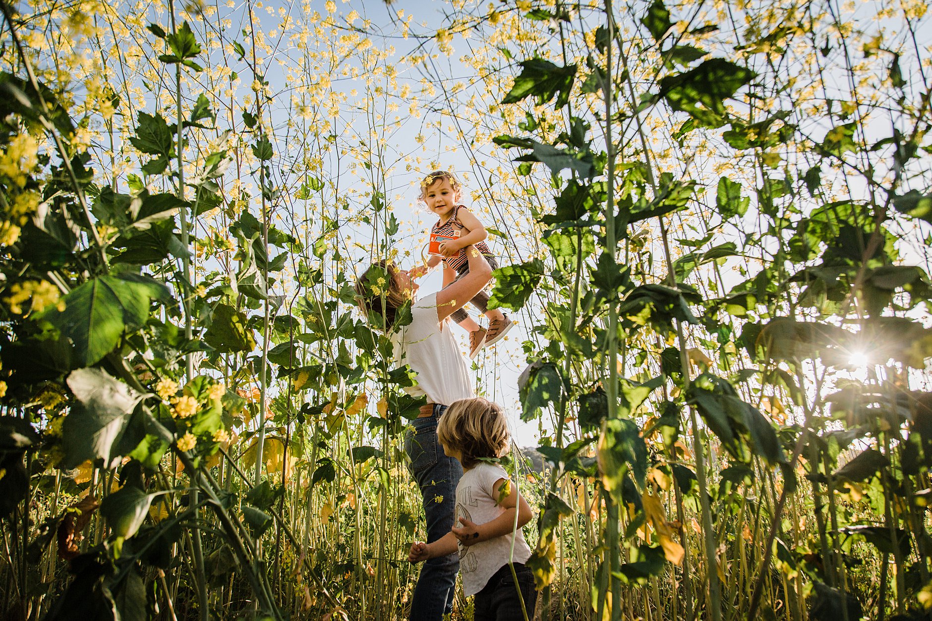 mom and kids in the yellow mustard field, tall grass, golden hour sunset session
