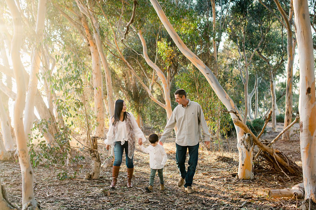 a family walking in the eucalyptus grove